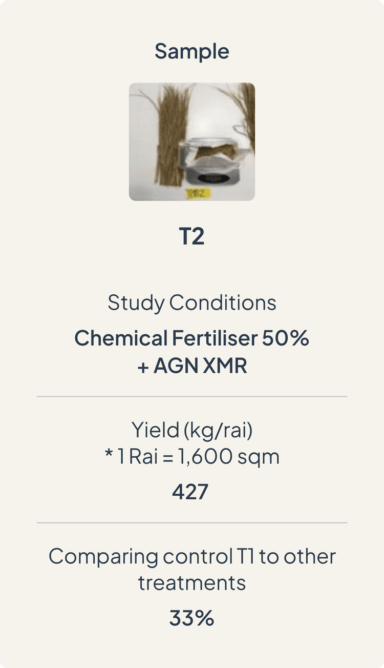 sample-study-2