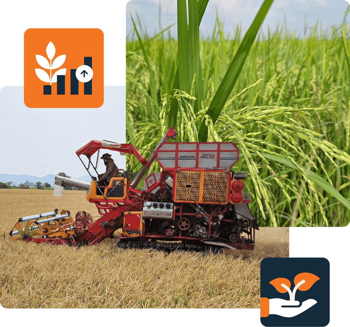 revitalizing-agriculture