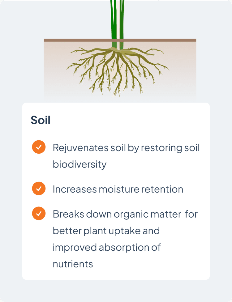 soil